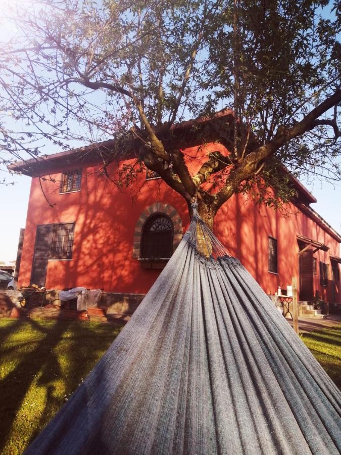 Alloggio Turistico Dakota Manziana Bagian luar foto